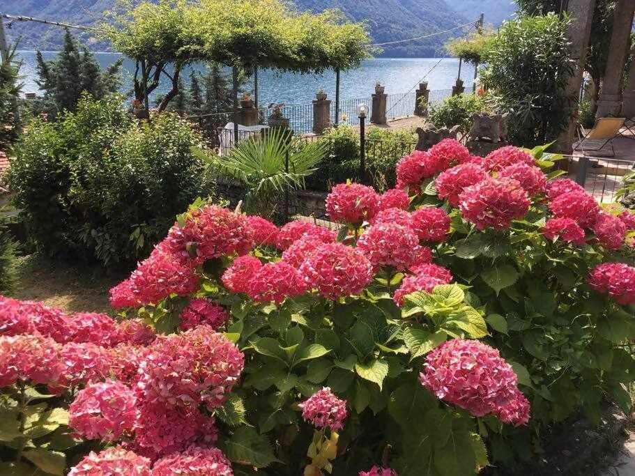 Villa Peroni Lake Como Vintage Argegno Exterior photo